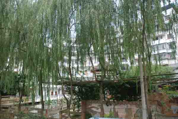 ����һ��